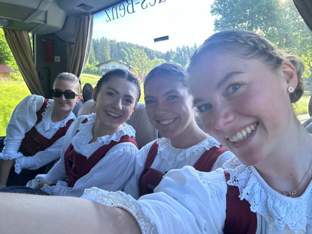 Alpenregionstreffen