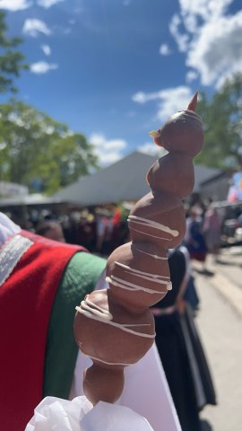 Alpenregionstreffen