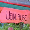 Thierburgfest2024